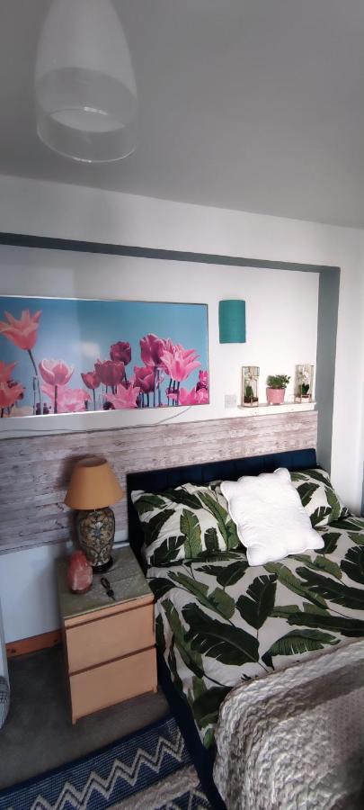 Joanna'S Studio , Key Locker By Whatsapp Own Entrance, Own Bathroom Youghal Exterior photo